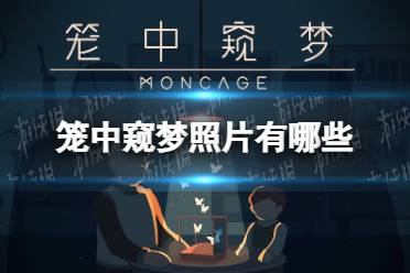 《笼中窥梦》照片有哪些 照片收集攻略
