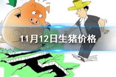11月12日生猪价格是多少 11.12猪肉价格一览表