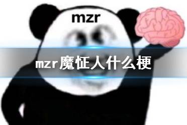mzr是什么梗 mzr魔怔人梗介绍