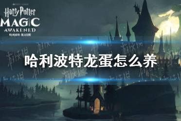 《哈利波特》龙蛋怎么养 龙蛋养成攻略