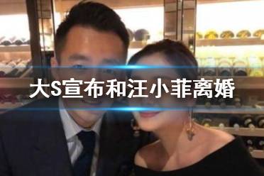 大s汪小菲离婚是怎么回事 大S宣布和汪小菲离婚