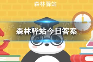 熊猫的黑白相间的皮毛来源是什么 森林驿站今日答案11月11日