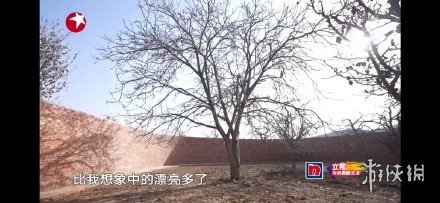 攻略网4