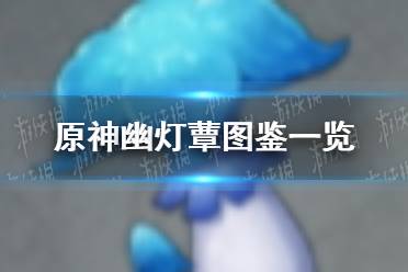 《原神》幽灯蕈怎么获得 幽灯蕈图鉴一览