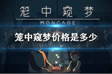 《笼中窥梦》价格是多少 购买价格一览