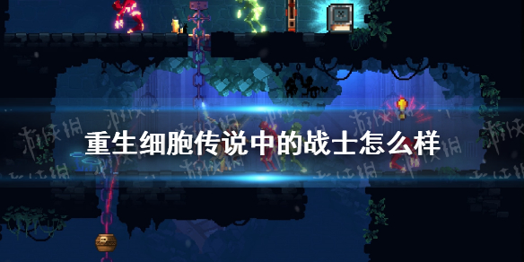 攻略网1