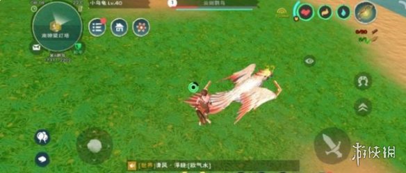 攻略网11