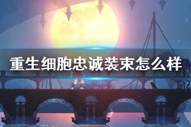 《重生细胞》忠诚装束怎么样 忠诚装束介绍