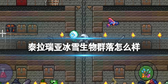 攻略网1