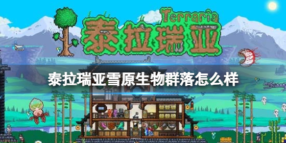 攻略网1