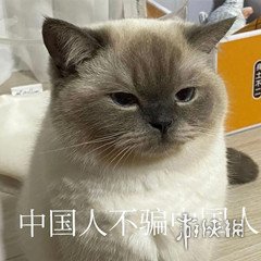 攻略网3