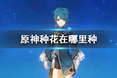 《原神》种花在哪里种 种花方法介绍