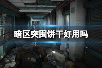 《暗区突围》饼干好用吗 饼干食品实用性分析