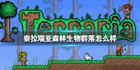 攻略网1