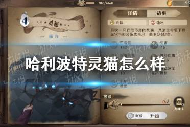 《哈利波特》灵猫怎么样 灵猫卡牌效果介绍