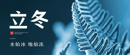 攻略网2