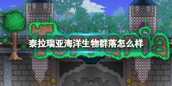 攻略网1