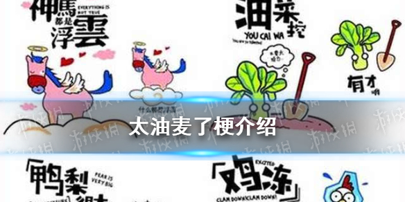 攻略网1