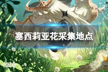 《原神手游》塞西莉亚花在哪采集 塞西莉亚花采集地点