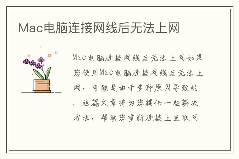 Mac电脑连接网线后无法上网