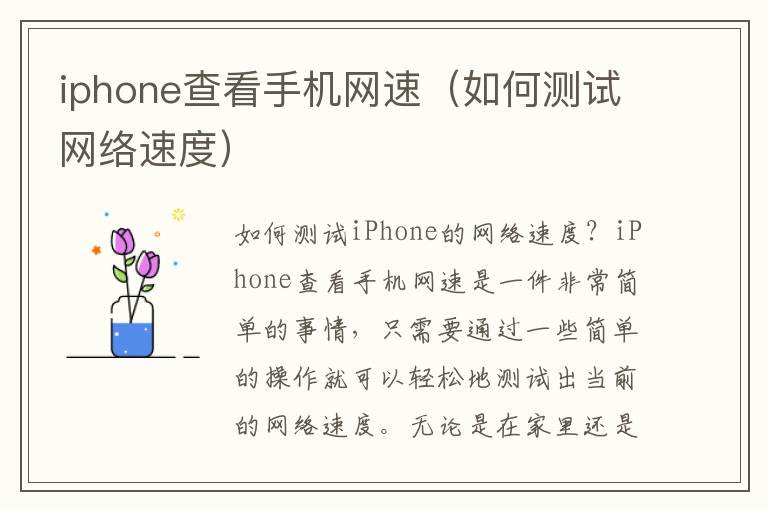 iphone查看手机网速（如何测试网络速度）