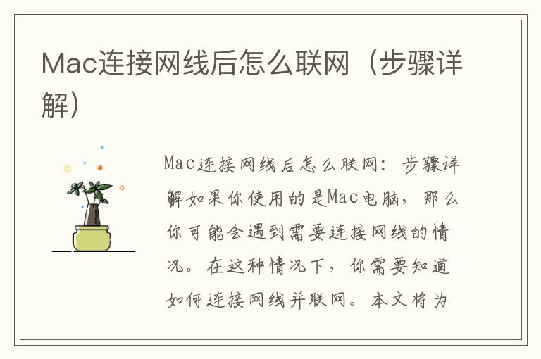 Mac连接网线后怎么联网（步骤详解）