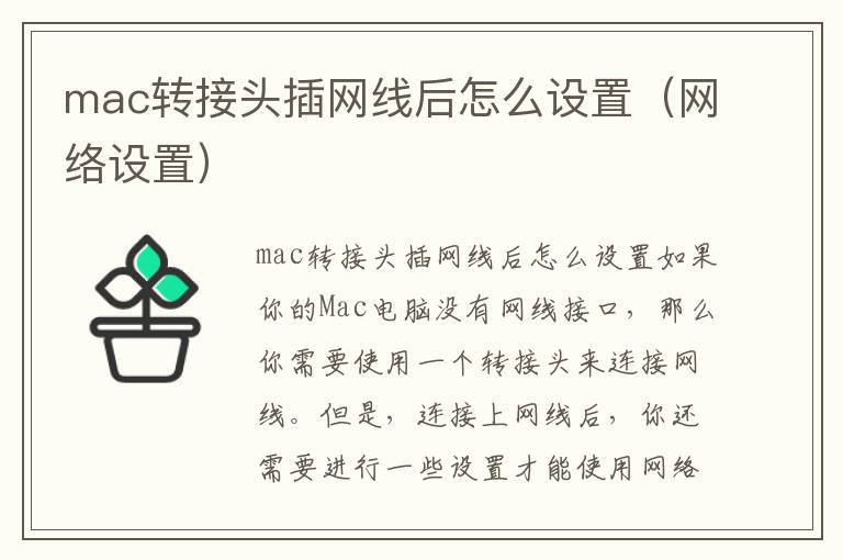 mac转接头插网线后怎么设置（网络设置）