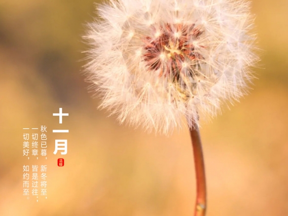 攻略网3