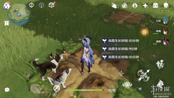 攻略网9