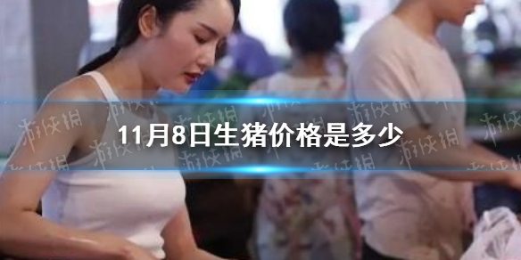 攻略网1