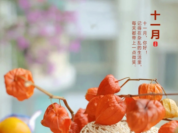 攻略网2