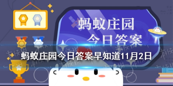 攻略网1