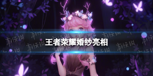 攻略网1