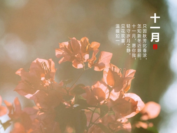 攻略网6