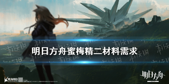 攻略网1