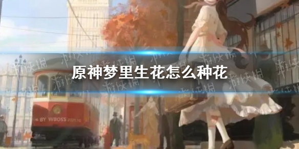 攻略网1