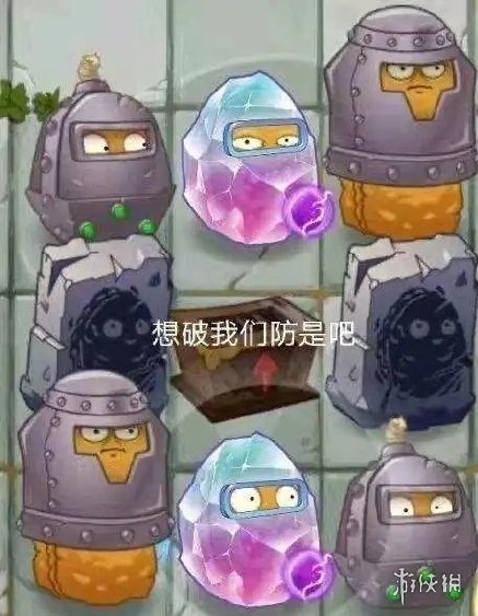 攻略网6