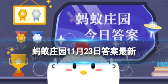 攻略网1