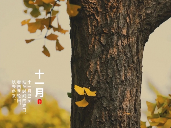 攻略网4