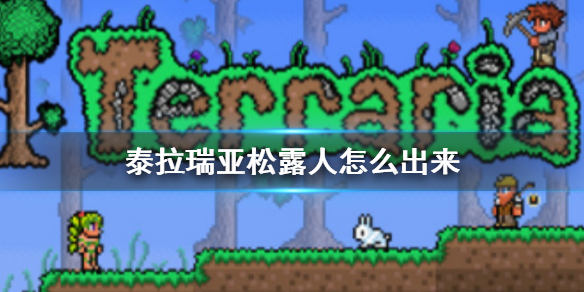 攻略网1