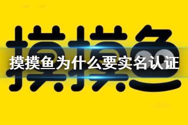摸摸鱼为什么要实名认证 摸摸鱼实名认证介绍