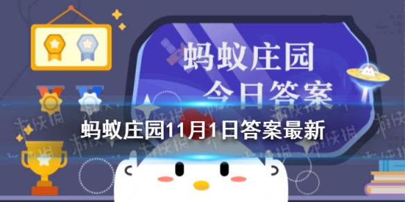 攻略网1