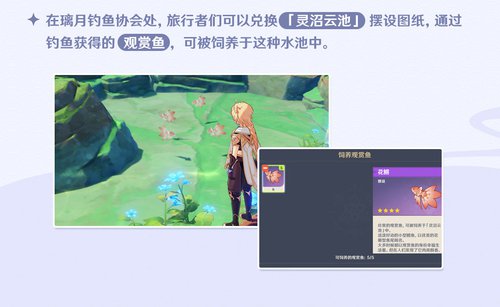 攻略网