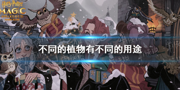 攻略网1