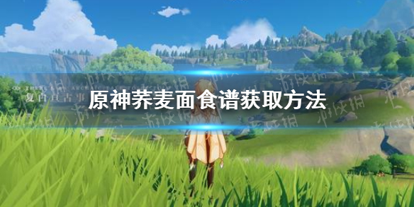攻略网1