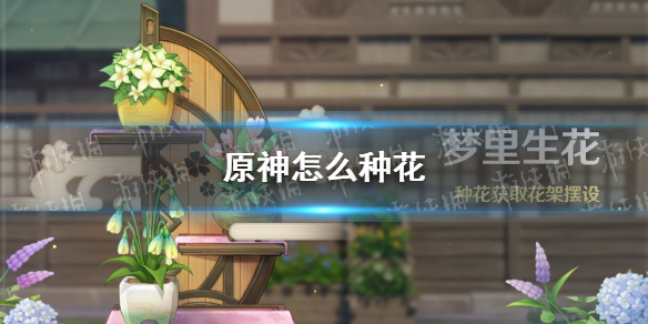 攻略网1