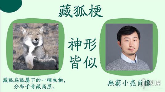攻略网3
