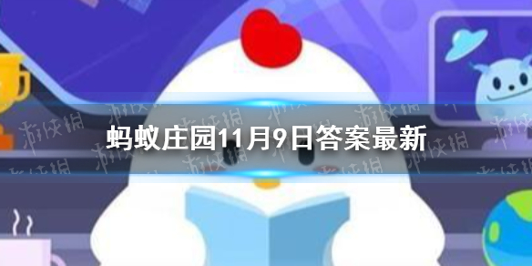 攻略网1