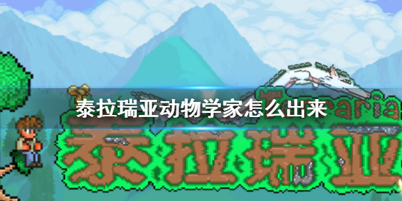 攻略网1