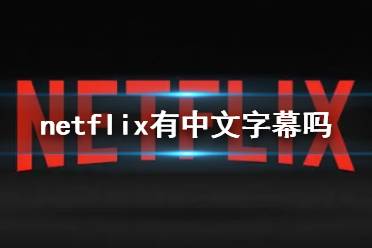 netflix有中文字幕吗 网飞中文字幕介绍